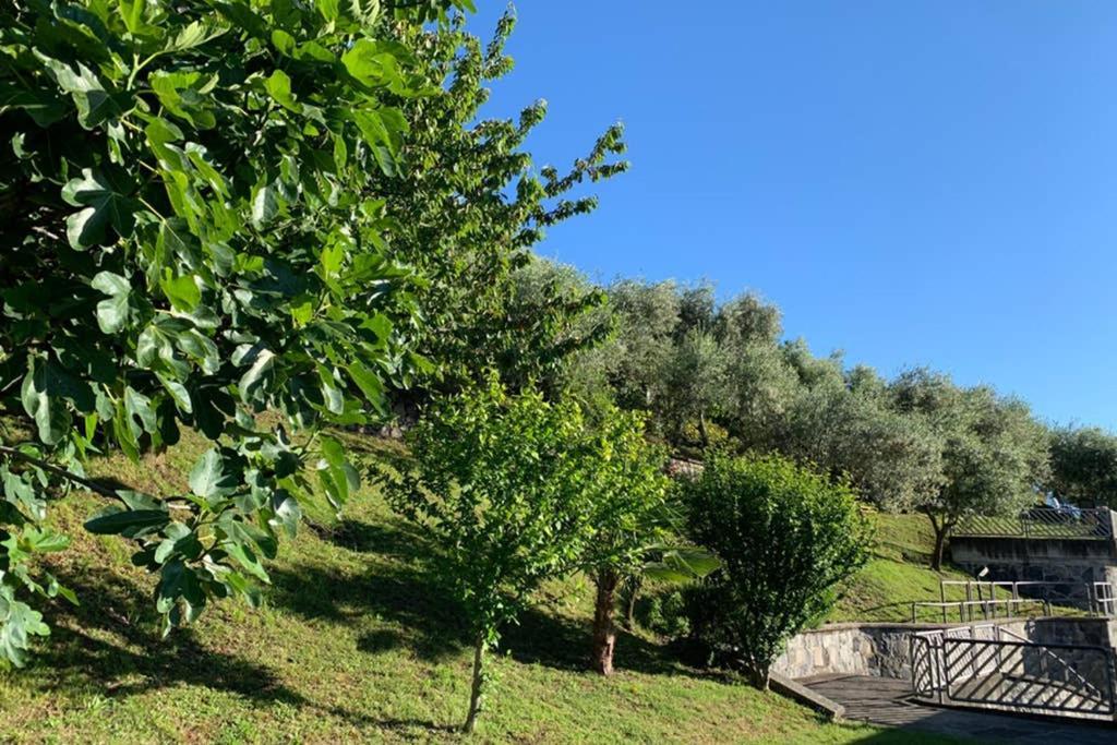 Cozy House On Iseo Lake 丰泰诺 外观 照片